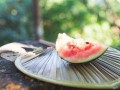 吃瓜爆料最新入口,独家入口，一网打尽明星幕后故事