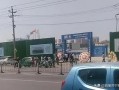 济宁女子爆料最新消息今天,揭秘今日惊人事件内幕