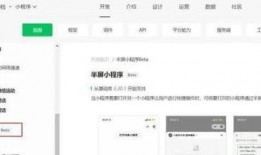 小程序一点最新爆料,揭秘小程序行业新动态与趋势