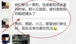 武汉小三爆料事件最新,真相与争议交织的婚姻悬疑剧